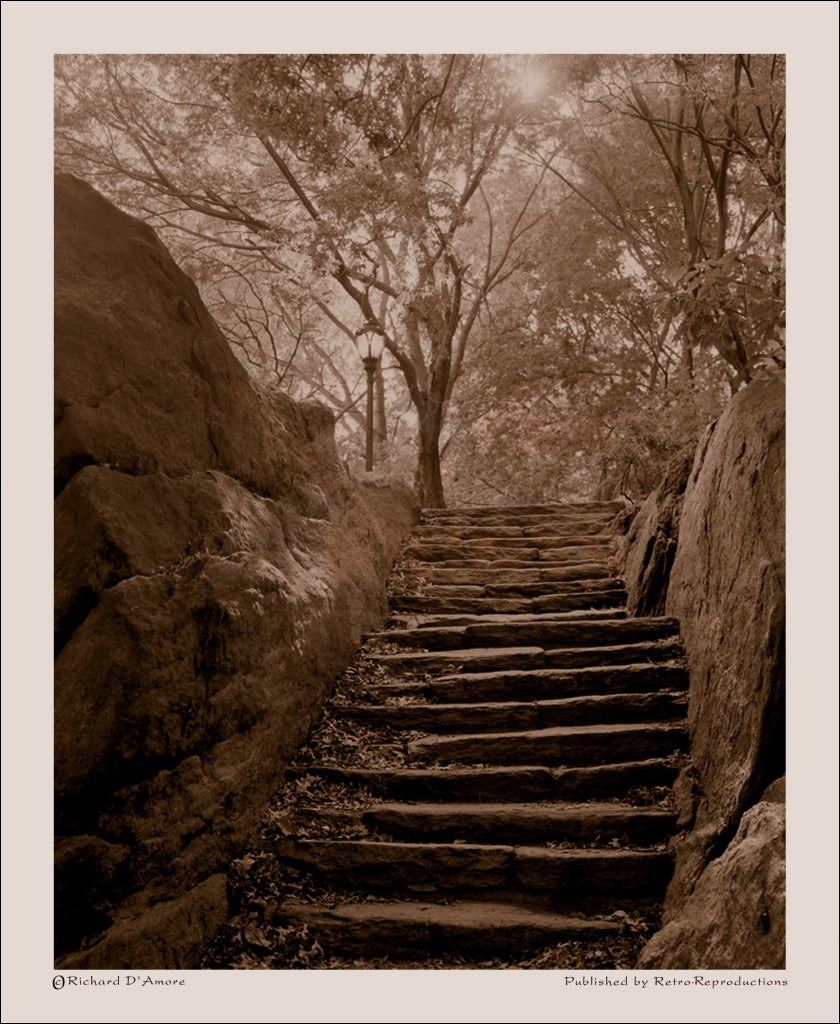 Vintage Art Print by Richard d'Amore steps in Central Park