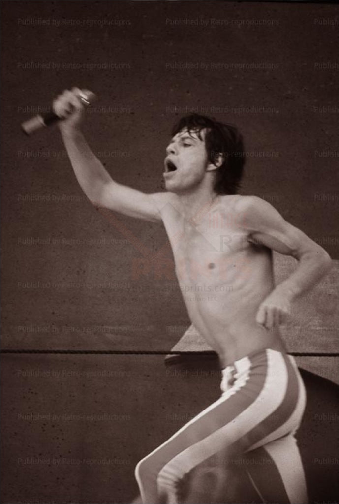 Mick Jagger Paris Concert 1991, photographic print - Vintage Art, canvas prints