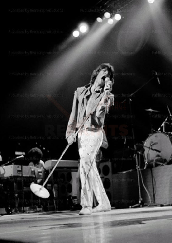 Mick Jagger in Concert Paris - Vintage Art, canvas prints