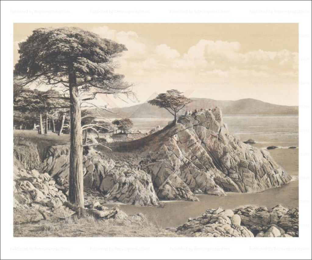 Midway Point 17 Mile Drive, California, Photographic Print - Vintage Art, canvas prints
