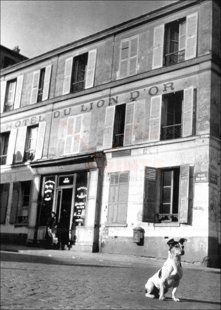 Brassai - Vintage Art, old Paris building showing a Hotel and a Dog