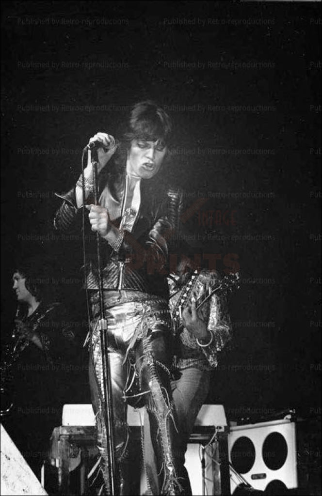 Rolling Stones, Mike Jagger in Concert, vintage art photo print rejproduction - Vintage Art, canvas prints