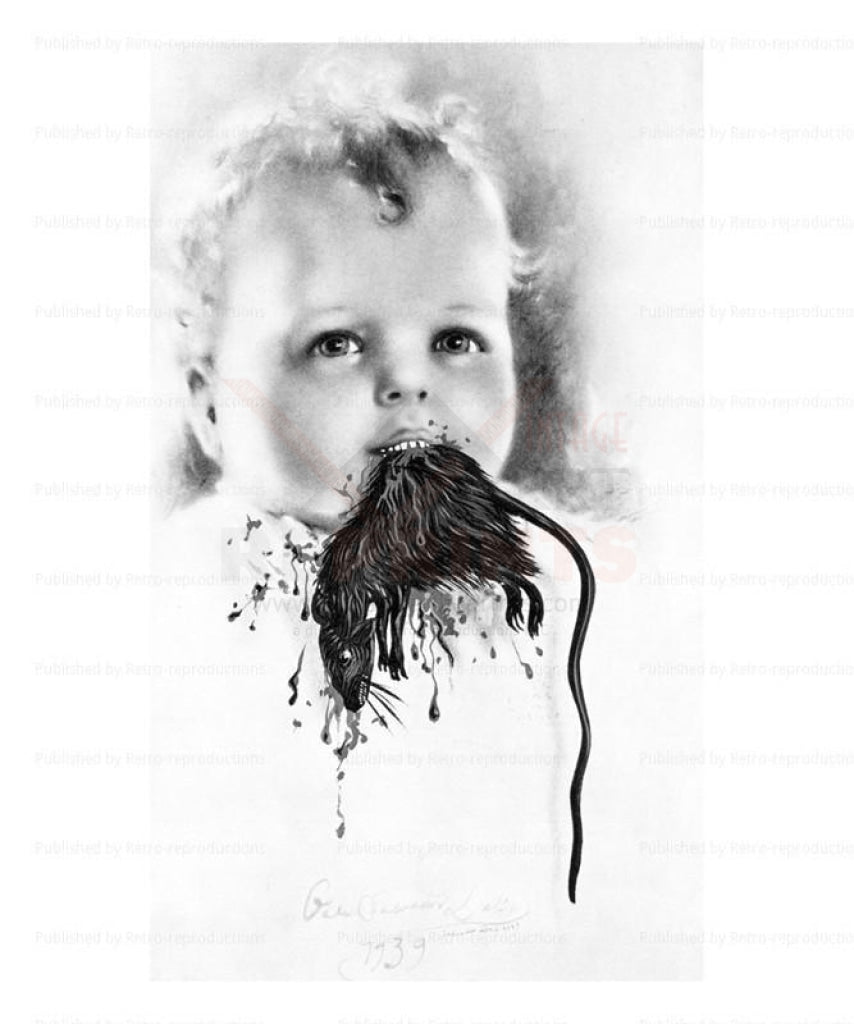 rrdg0288 - Vintage Art, canvas prints