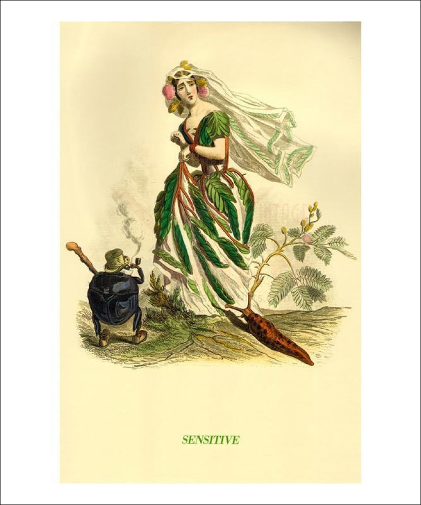 Sensitive - Vintage Art, canvas prints