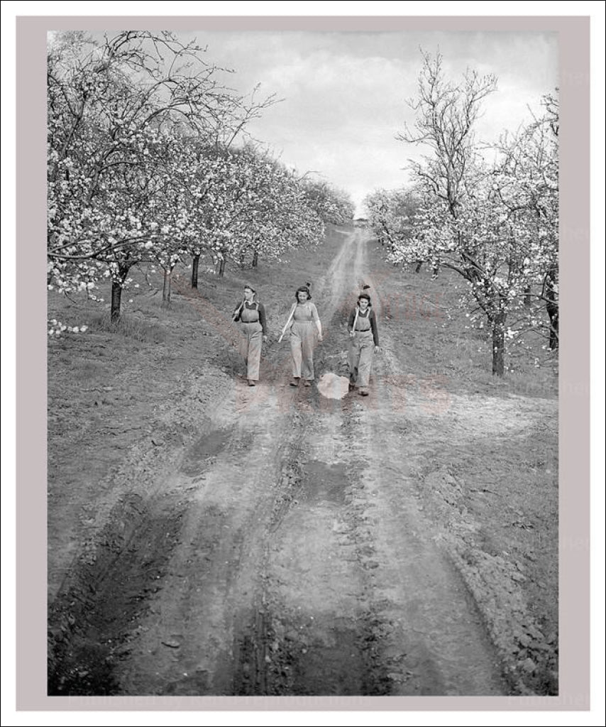 Vintage art photographic prints, photography, Women at War - On the Land 12, WWII - Vintage Art, canvas prints
