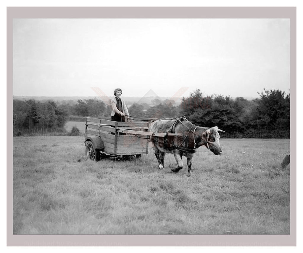 Vintage, art prints, photography, On the Land 13, WWII - Vintage Art, canvas prints