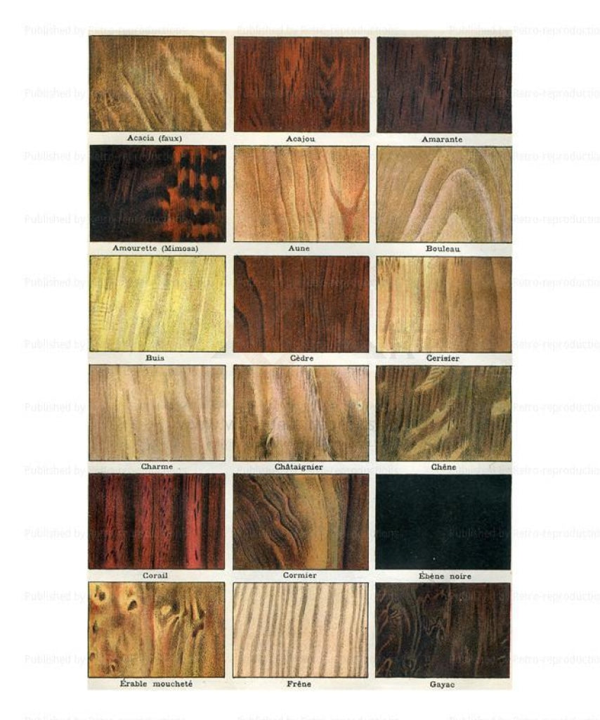 Wood II, Art Print - Vintage Art, canvas prints