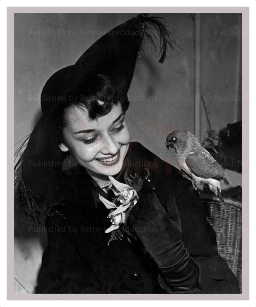 Audrey Hepburn and a bird, Photographic print - Vintage Art