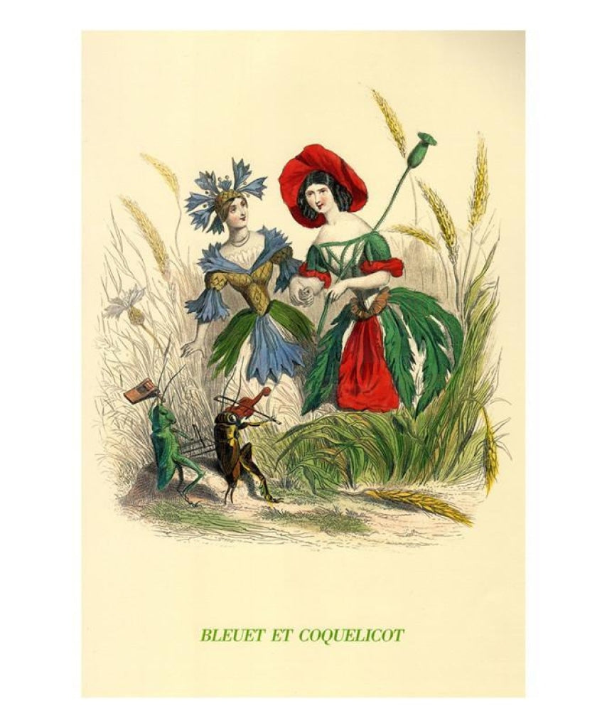 Bleuets et Coquelicots, flower, Art print - Vintage Art, canvas prints