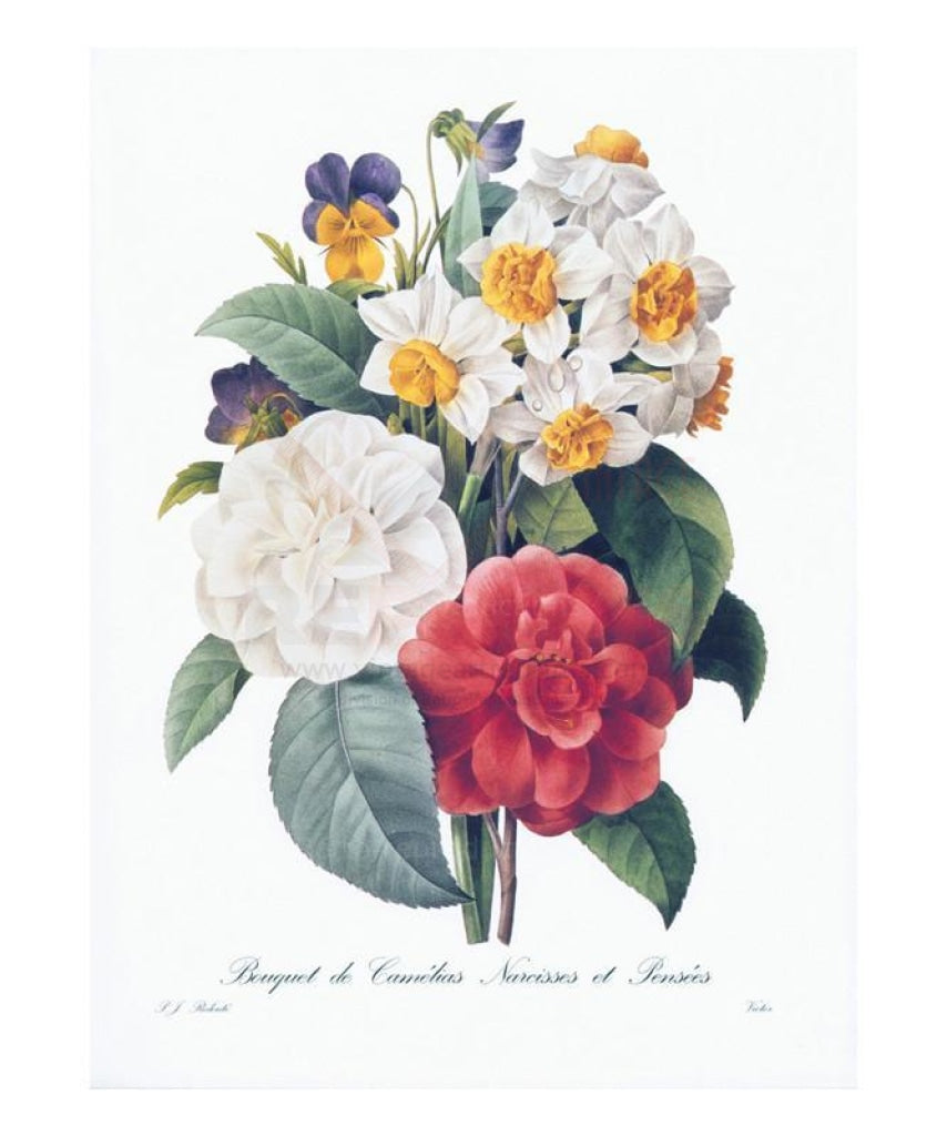 Bouquet de Camelias Narcisses et Pensees, Art Print - Vintage Art, canvas prints