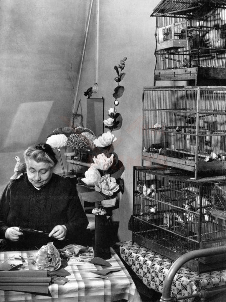 Brassai An older women with her birds 