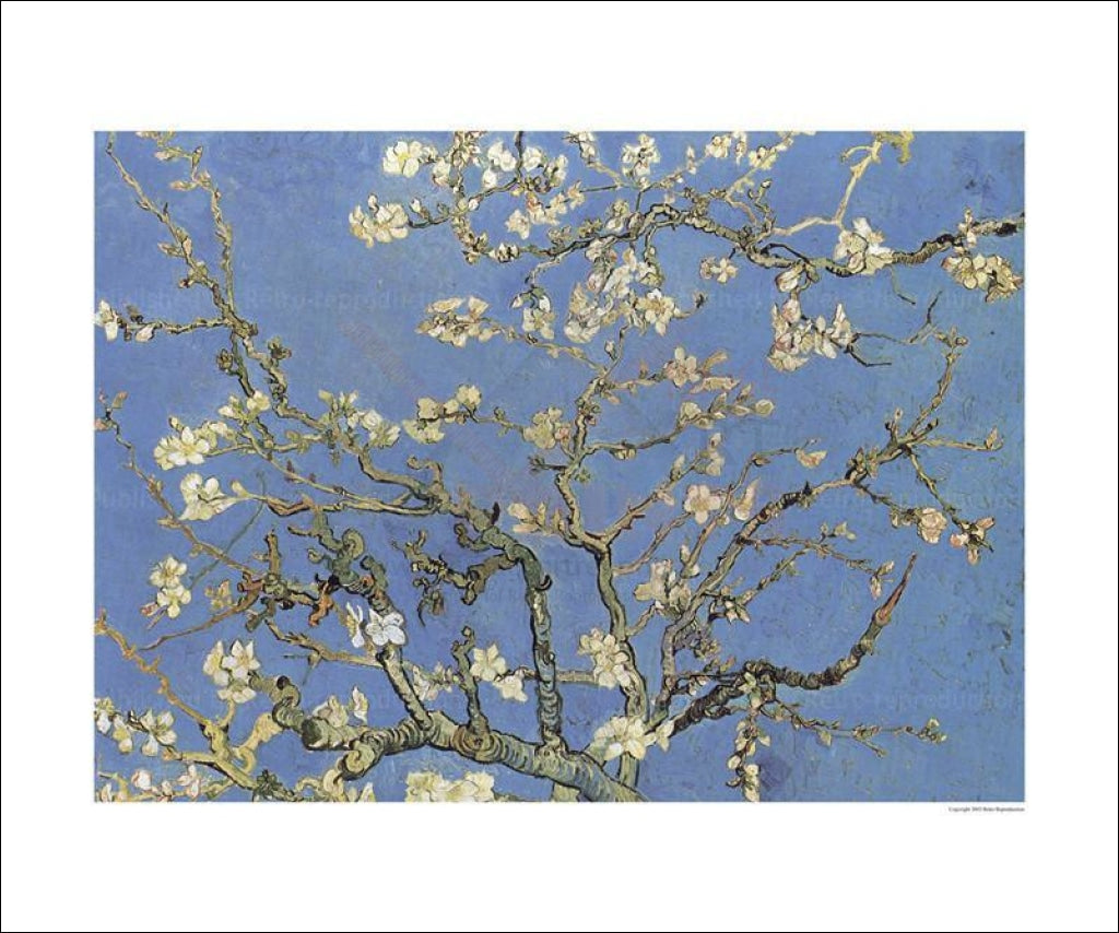 Canvas prints, Almond tree - Vincent Van Gogh, - Vintage Art, canvas prints
