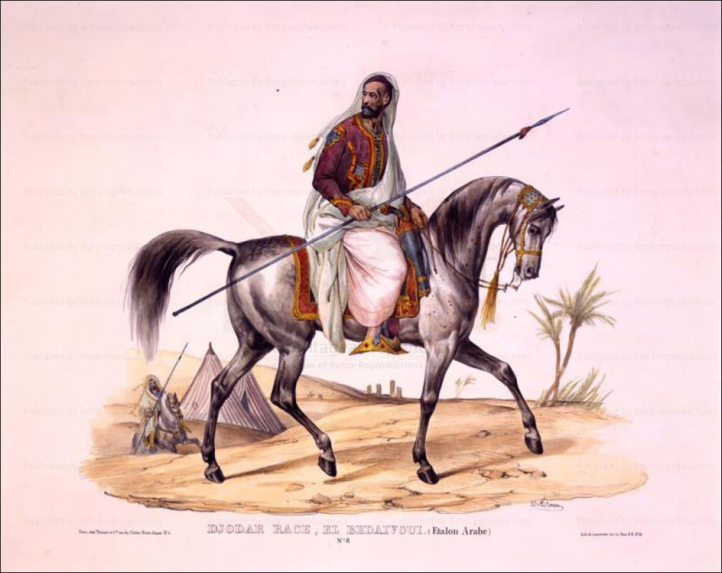 Cheval Arabe - Arabic Horse, Art Print - Vintage Art, canvas prints