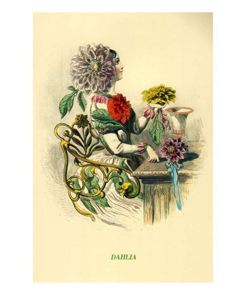 Dahlia, Animated Flower, Art Print - Vintage Art, canvas prints