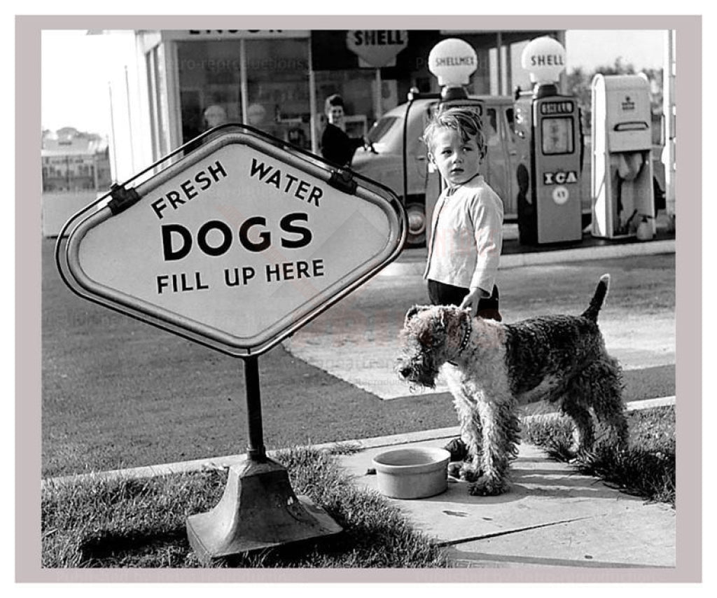 Dogs Fill Up Here - Vintage Art, canvas prints