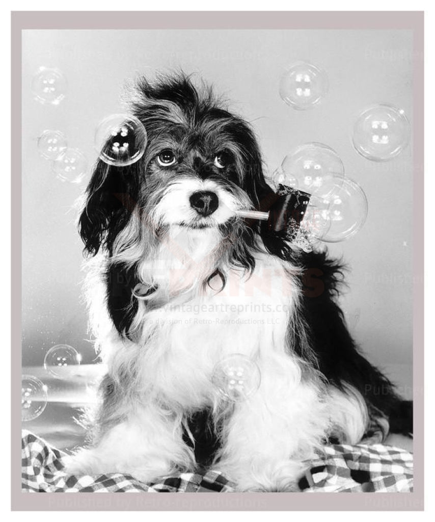 Photo of dog with pipe in mouth blowing bubbles