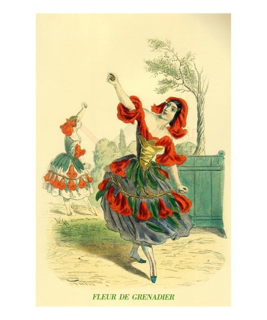 Fleur de Grenadier - Vintage Art, canvas prints