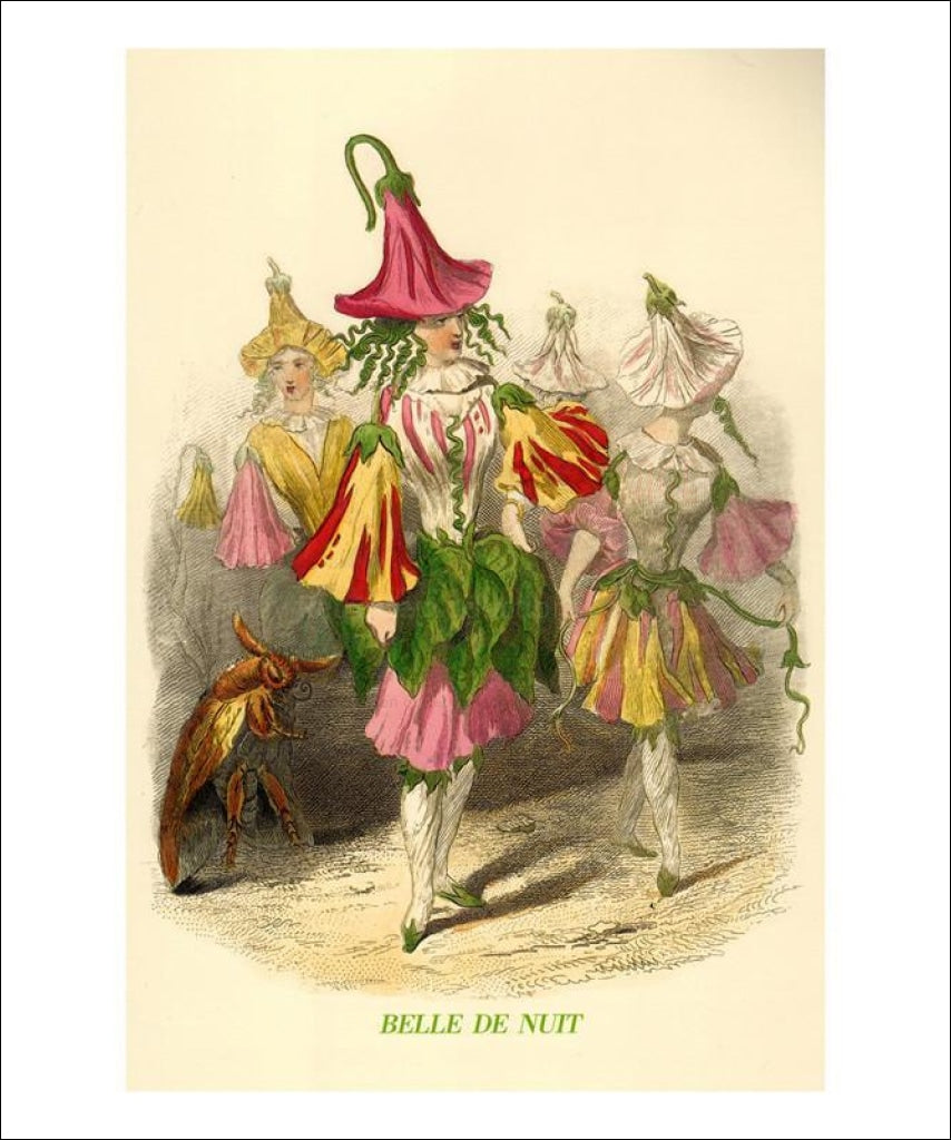 J.J. Granville, Belle de Nuit, Animated flowers, Art print - Vintage Art, canvas prints
