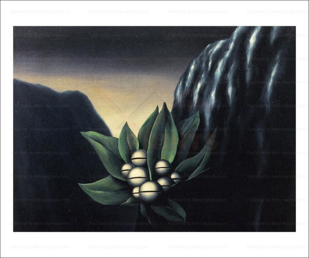Les Fleurs de l'Abime 1928 - Vintage Art, canvas prints