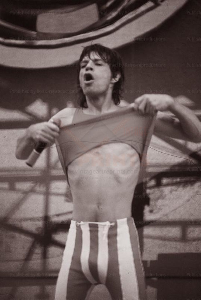 Mick Jagger Paris Concert 1991, photographic print - Vintage Art, canvas prints