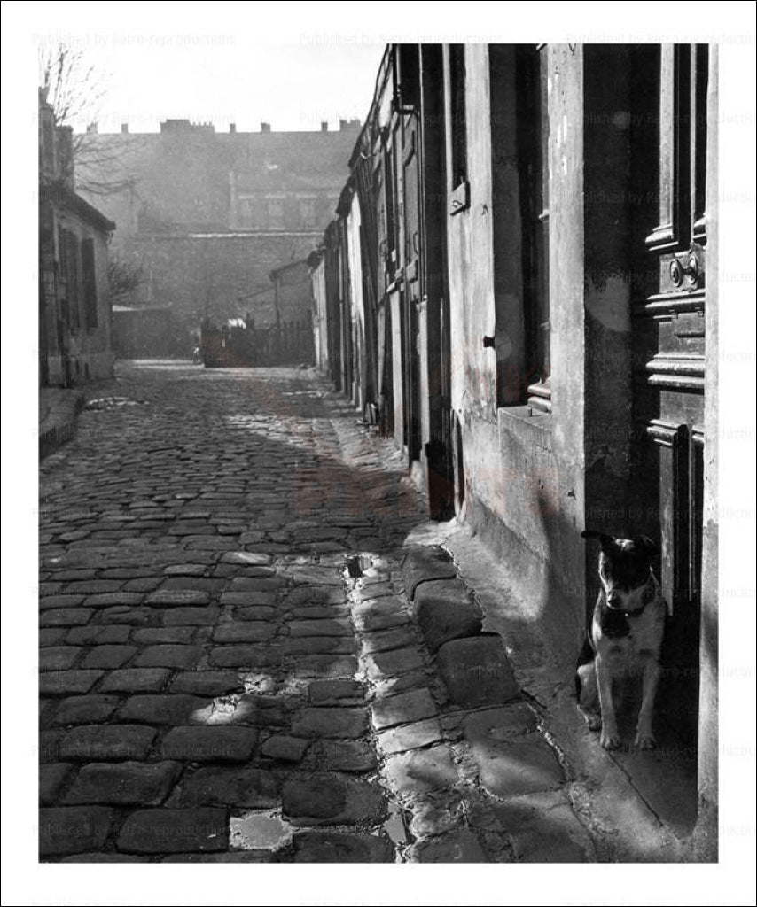 Photographic print, 255 Venue d'Alesia - Circa 1946, street in Paris, France - Vintage Art, canvas prints