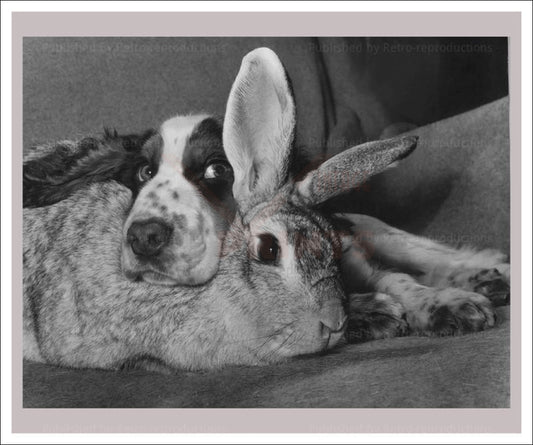 Photographic print, A Word in your ear, dog and rabbit, - Vintage Art, canvas prints