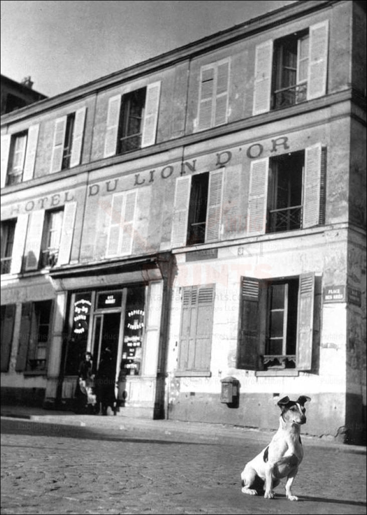 Brassai  - Vintage Art, old Paris building showing a Hotel and a Dog