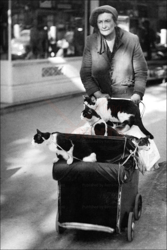 Brassai Woman driving her cats in a baby cart Vintage Art