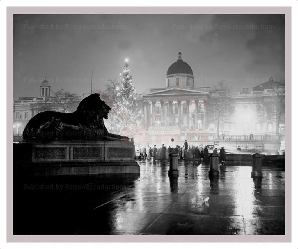 Christmas Tree in Trafalgar Square  London1950 - Vintage Art, canvas prints