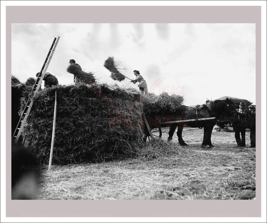 Women at War - On the Land 9, vintage art photo print reproduction, WWII - Vintage Art, canvas prints