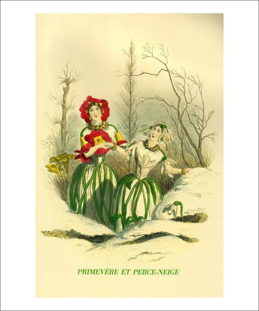 Primevere et Perce-Neige - Vintage Art, canvas prints