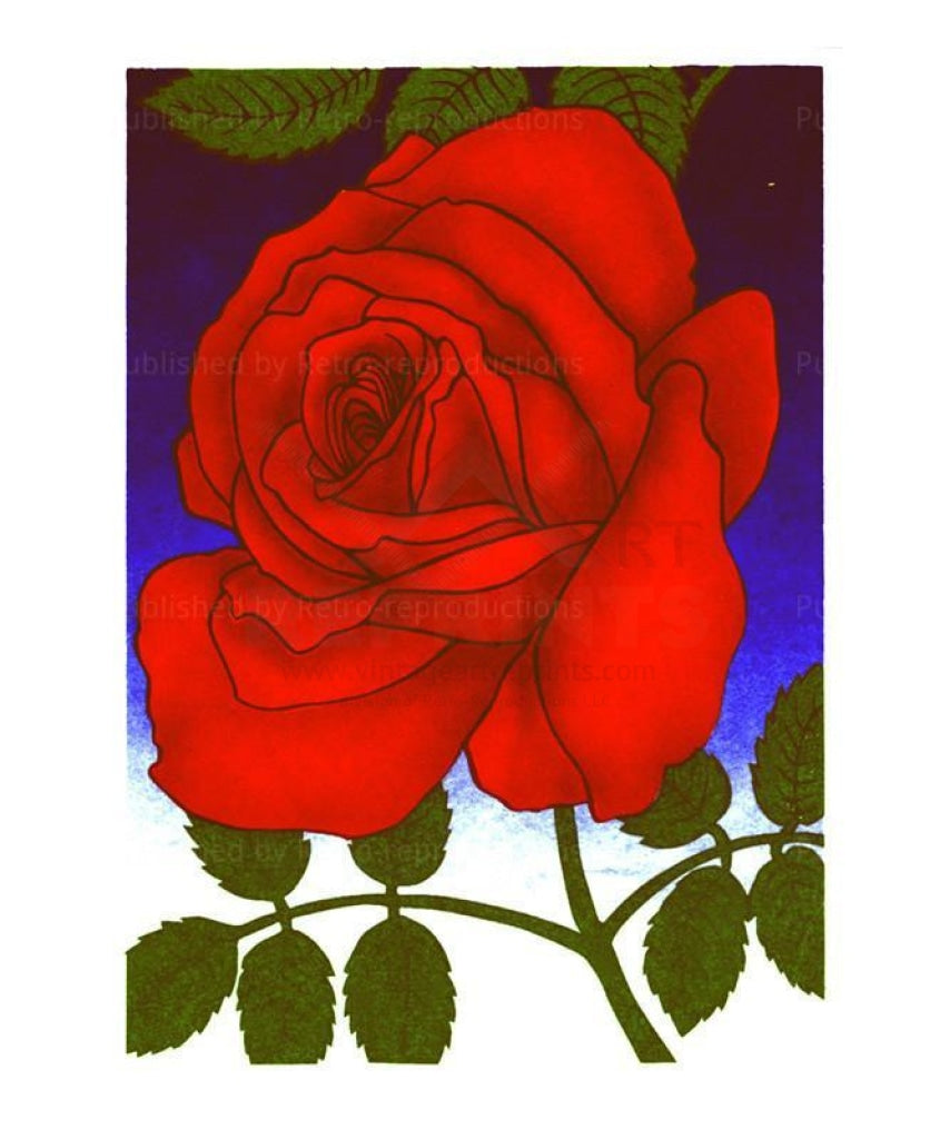 Red Rose - Vintage Art, canvas prints