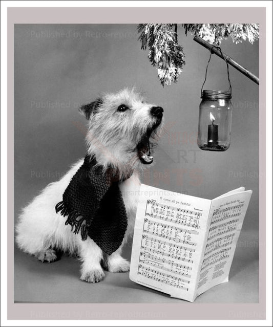 Cairn Terrier singing Christmas, Black & white print Reproductions