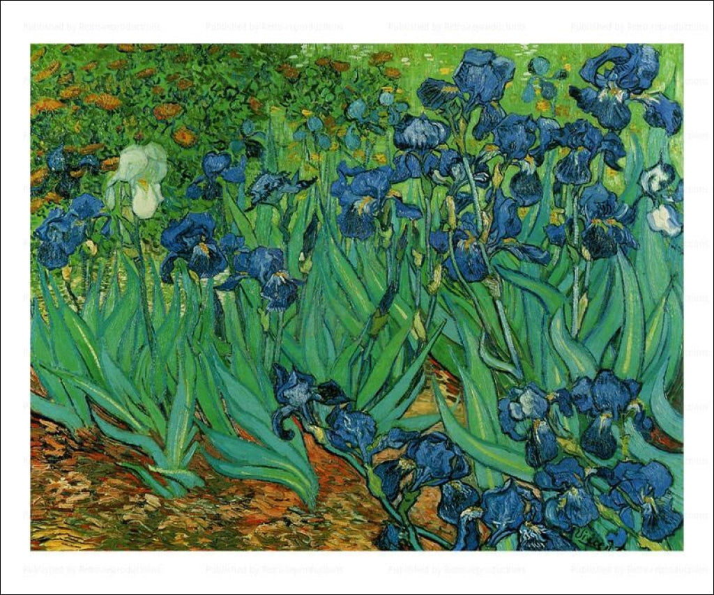 The Iris 1889 - Vintage Art, canvas prints