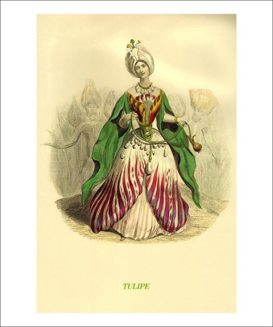 Tulipe, animated flower, art print reproduction - Vintage Art, canvas prints